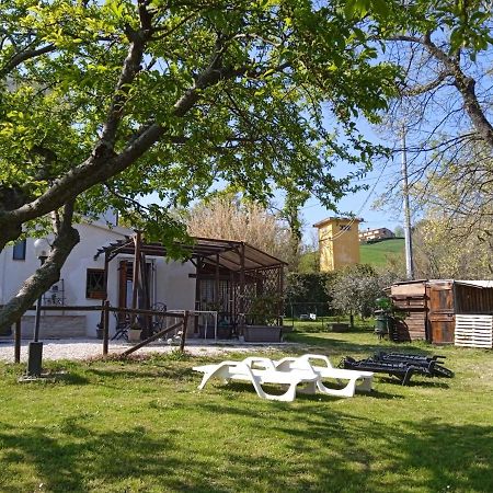 Bed and Breakfast Sotto l'Ulivo Mondavio Esterno foto