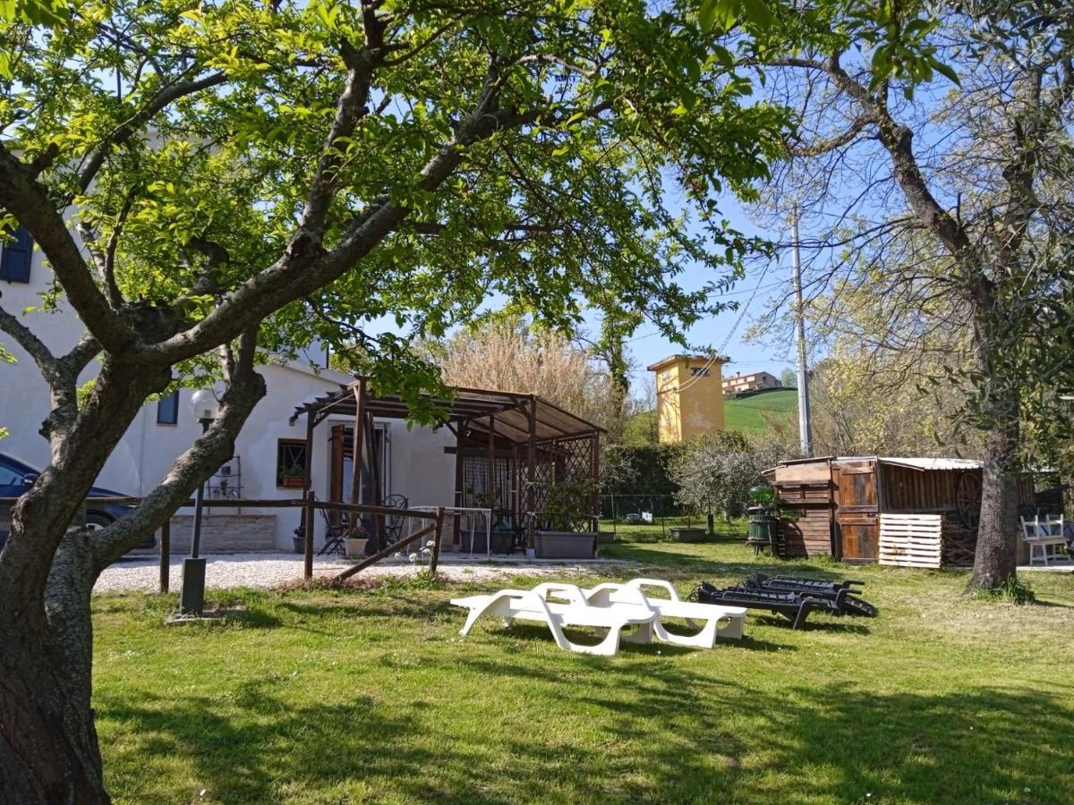 Bed and Breakfast Sotto l'Ulivo Mondavio Esterno foto
