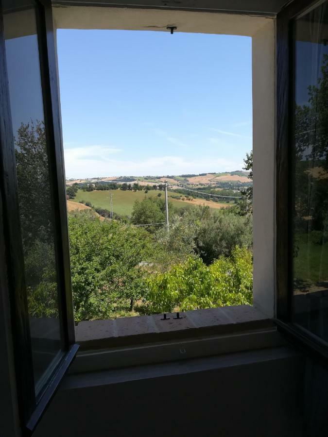 Bed and Breakfast Sotto l'Ulivo Mondavio Esterno foto
