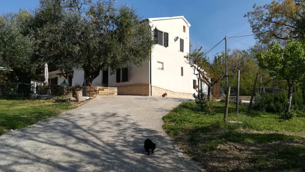 Bed and Breakfast Sotto l'Ulivo Mondavio Esterno foto