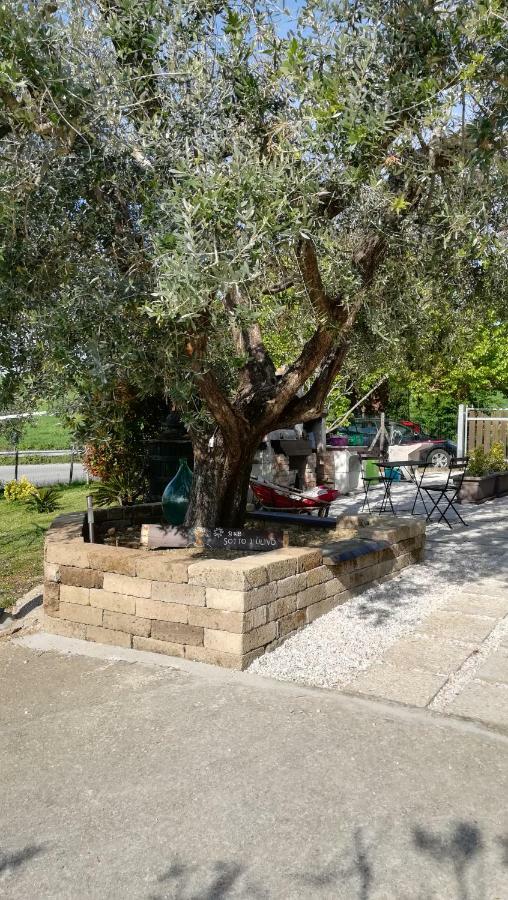 Bed and Breakfast Sotto l'Ulivo Mondavio Esterno foto
